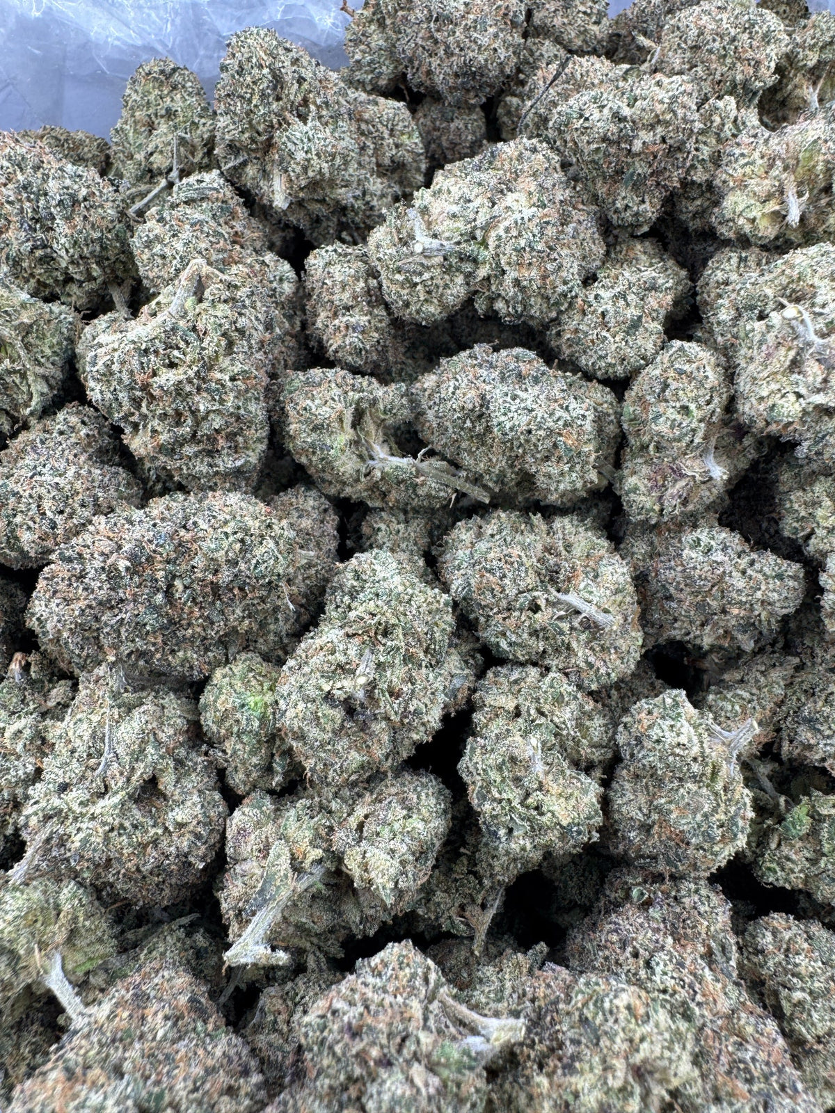 Sour Diesel - Indoor