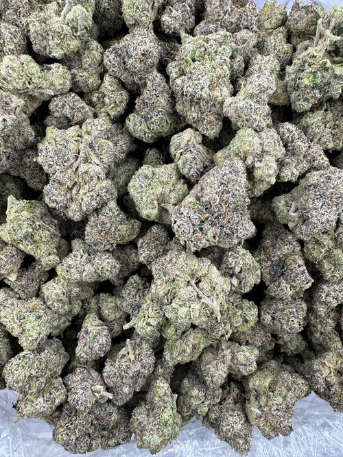 BULK - Grape Noir 8 - Indoor