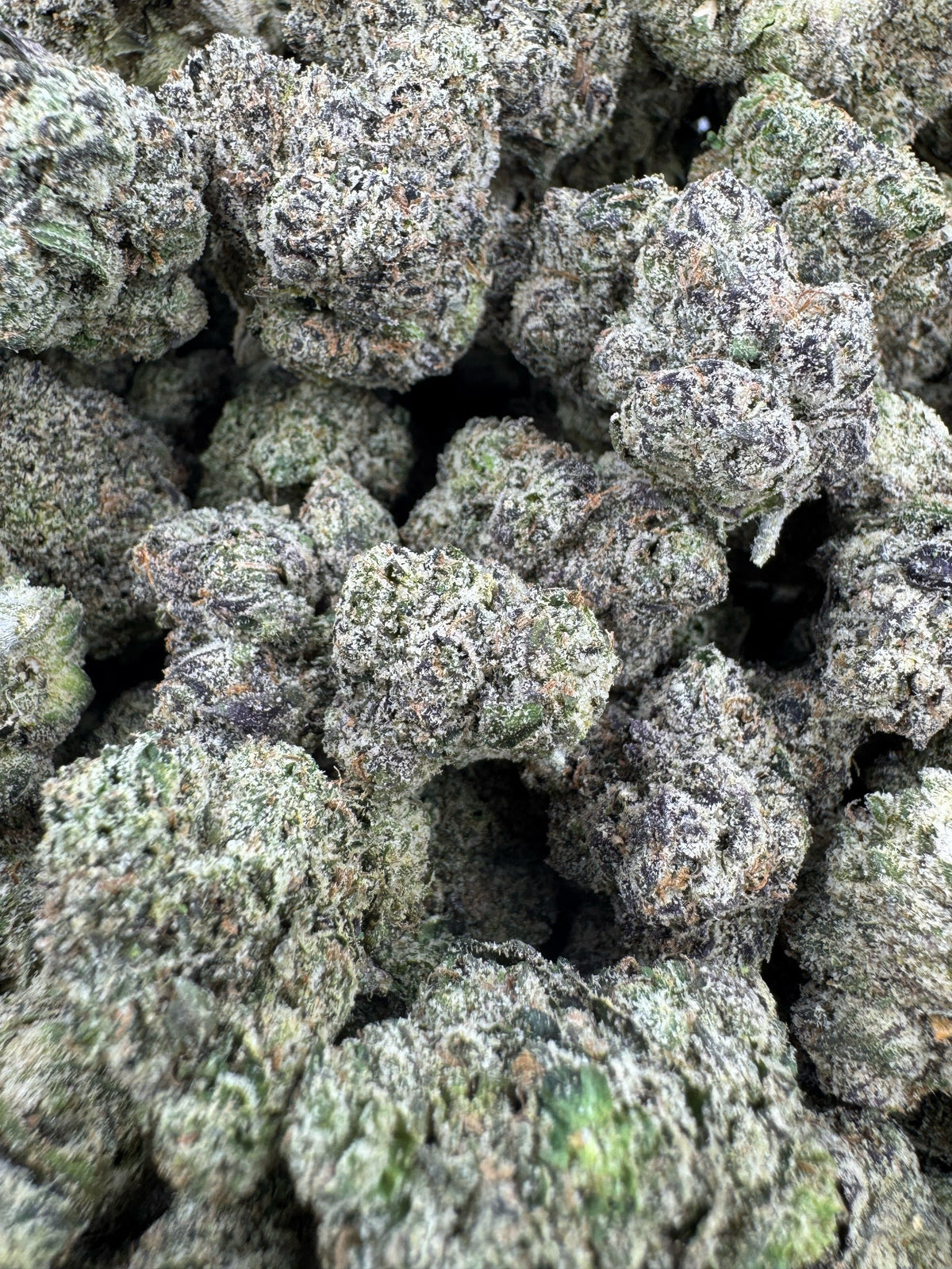 BULK - Ice Cream Cake - Indoor