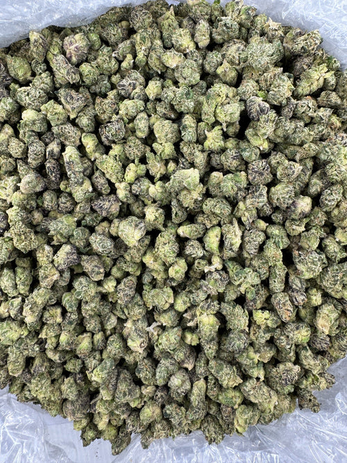BULK - Purple Punch - SMALLS - Indoor