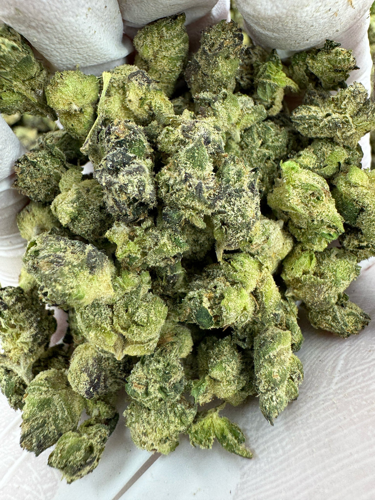 BULK - Purple Punch - SMALLS - Indoor