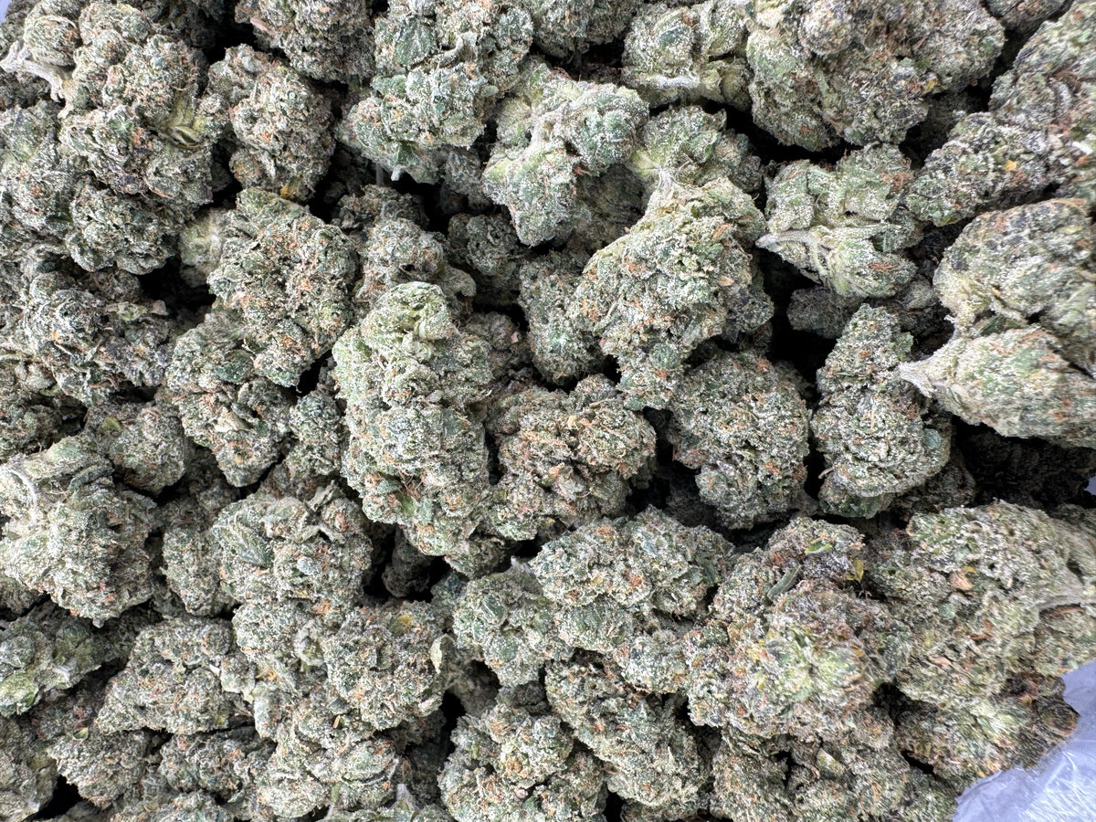 Durban Poison - Indoor