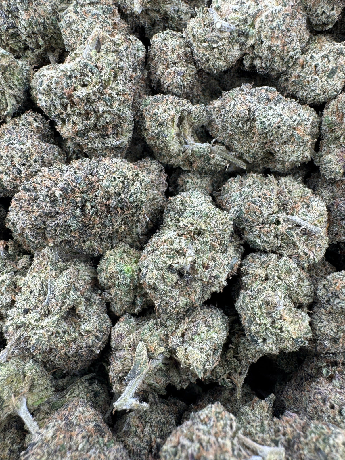 Sour Diesel - Indoor