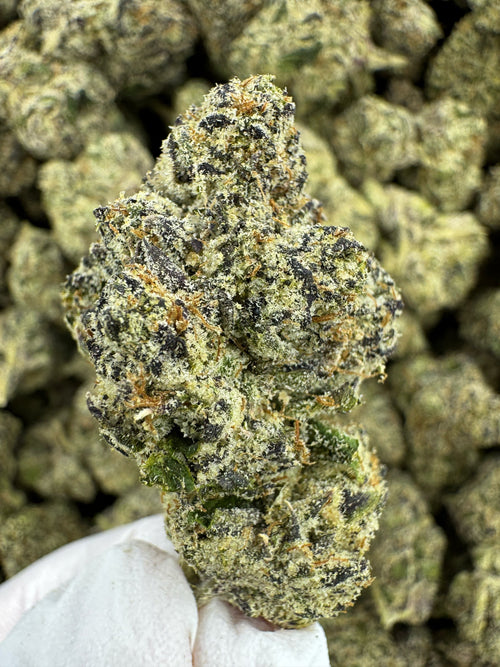 Layered Cake - Indoor