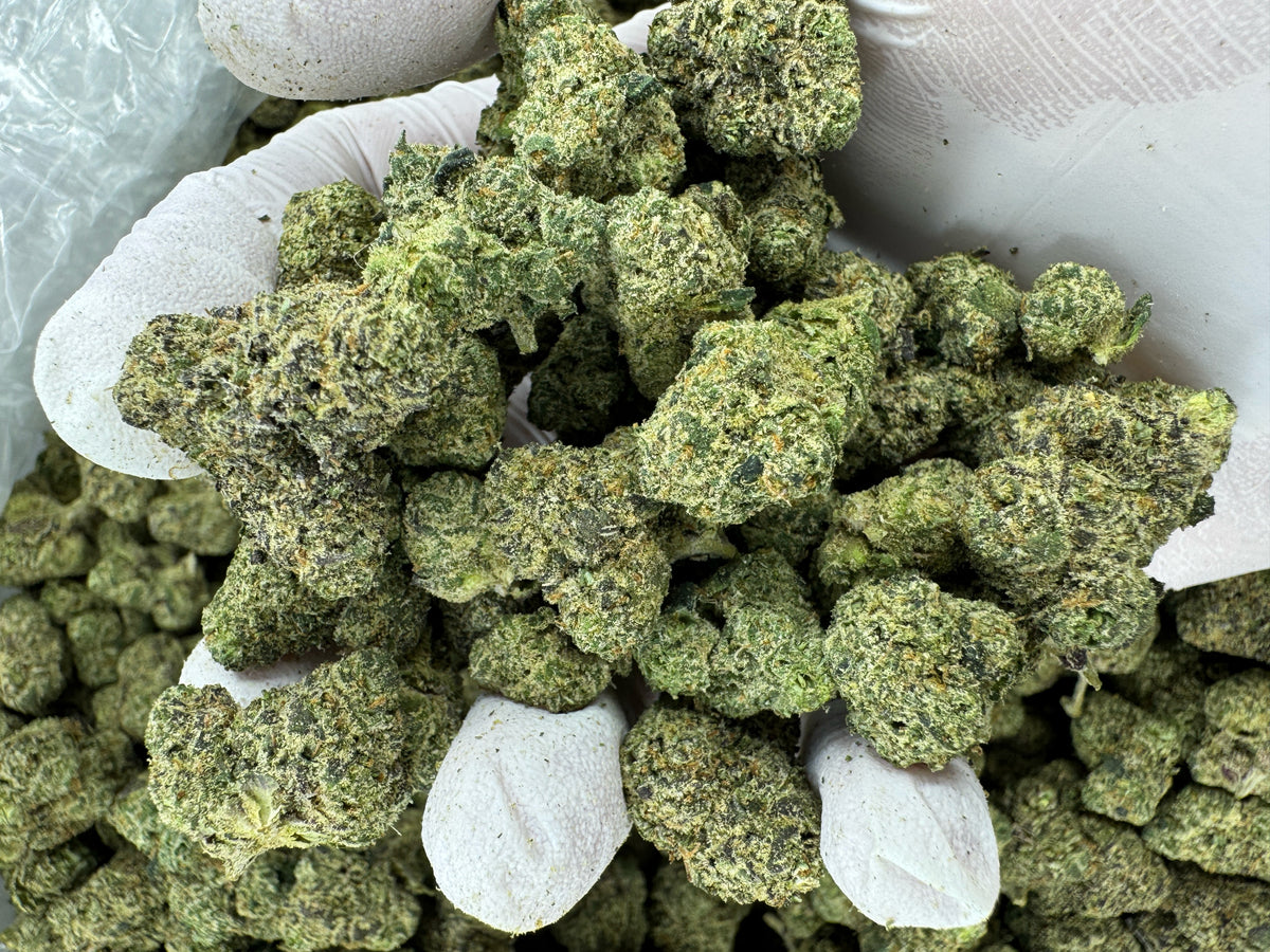 Purple Lemon Punch - Indoor