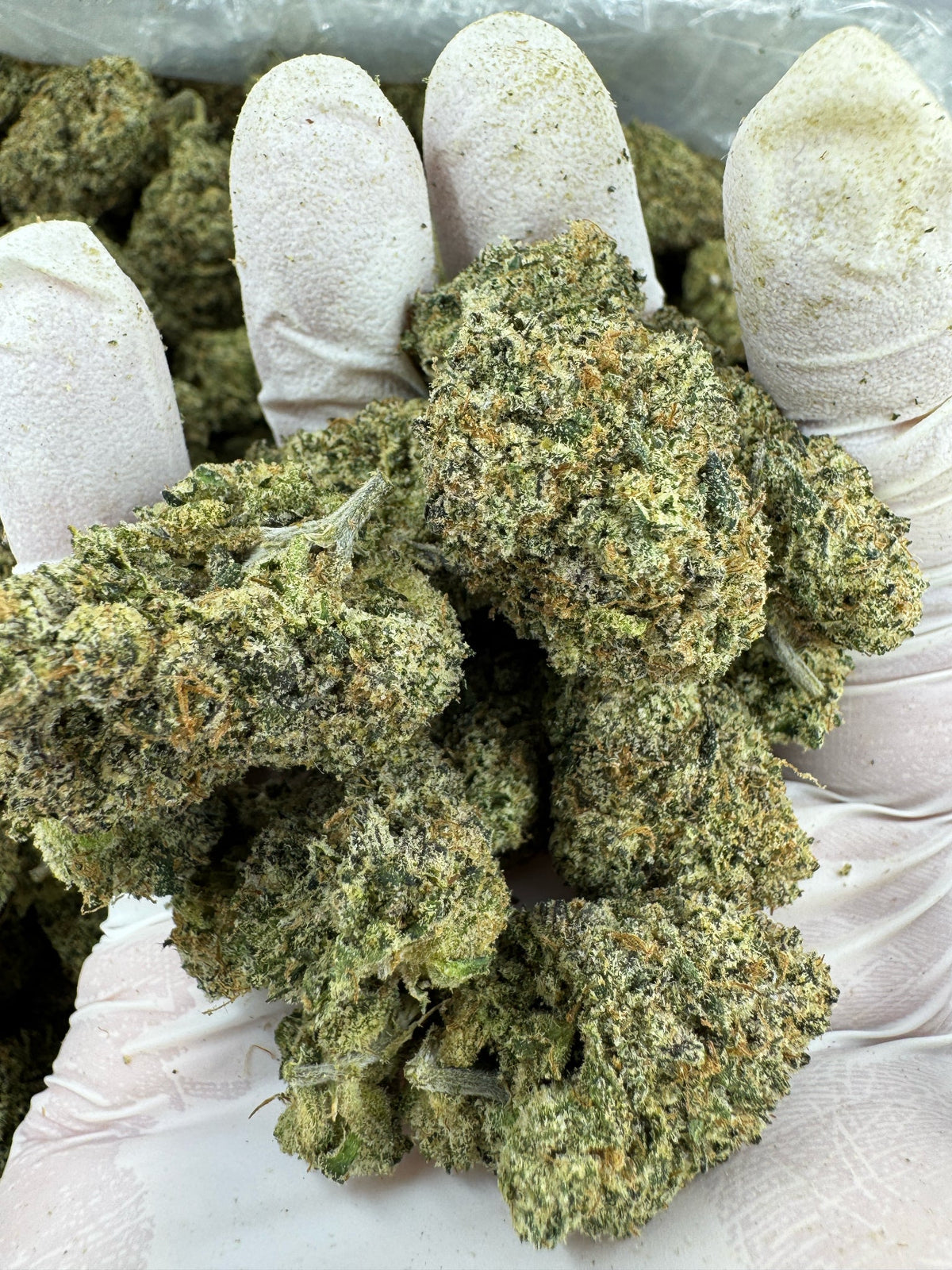 Ooze - Indoor
