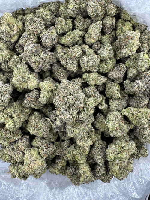 BULK - Lemon Bubba - Indoor