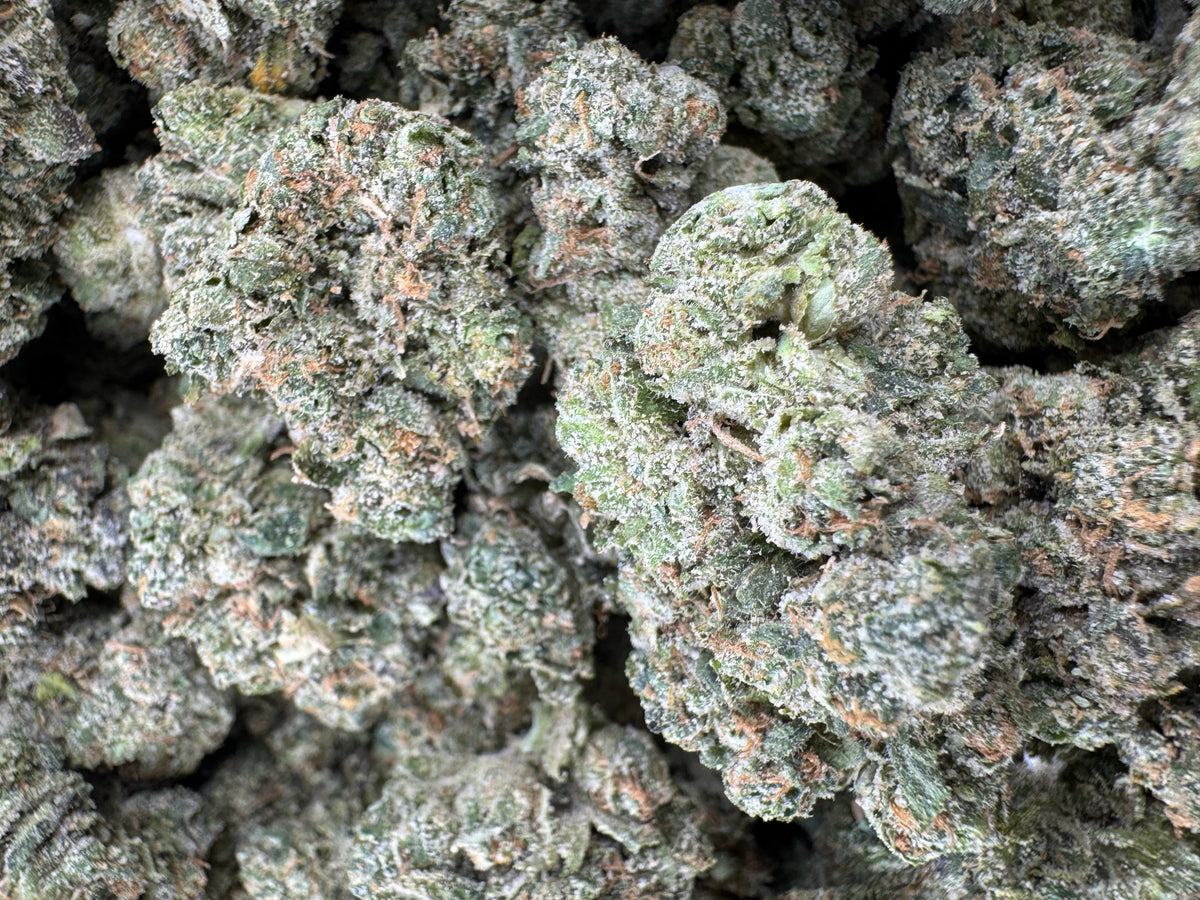 Durban Poison - Indoor