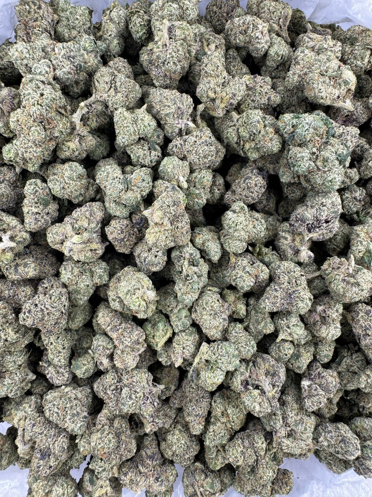 Purple Lemon Punch - Indoor