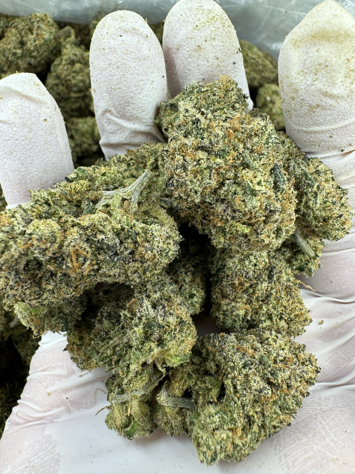 Ooze - Indoor
