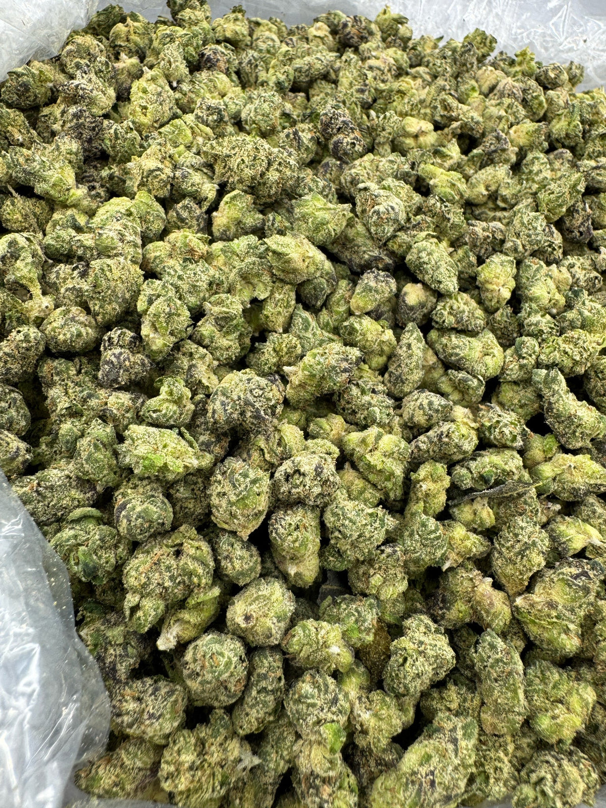 BULK - Purple Punch - SMALLS - Indoor