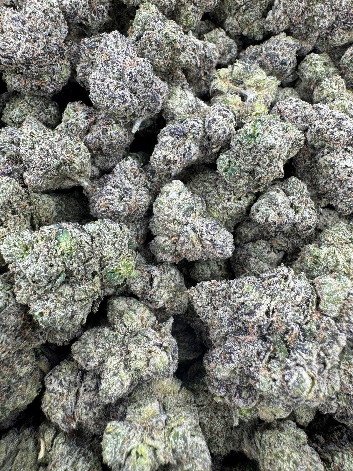 BULK - Ice Cream Cake - Indoor