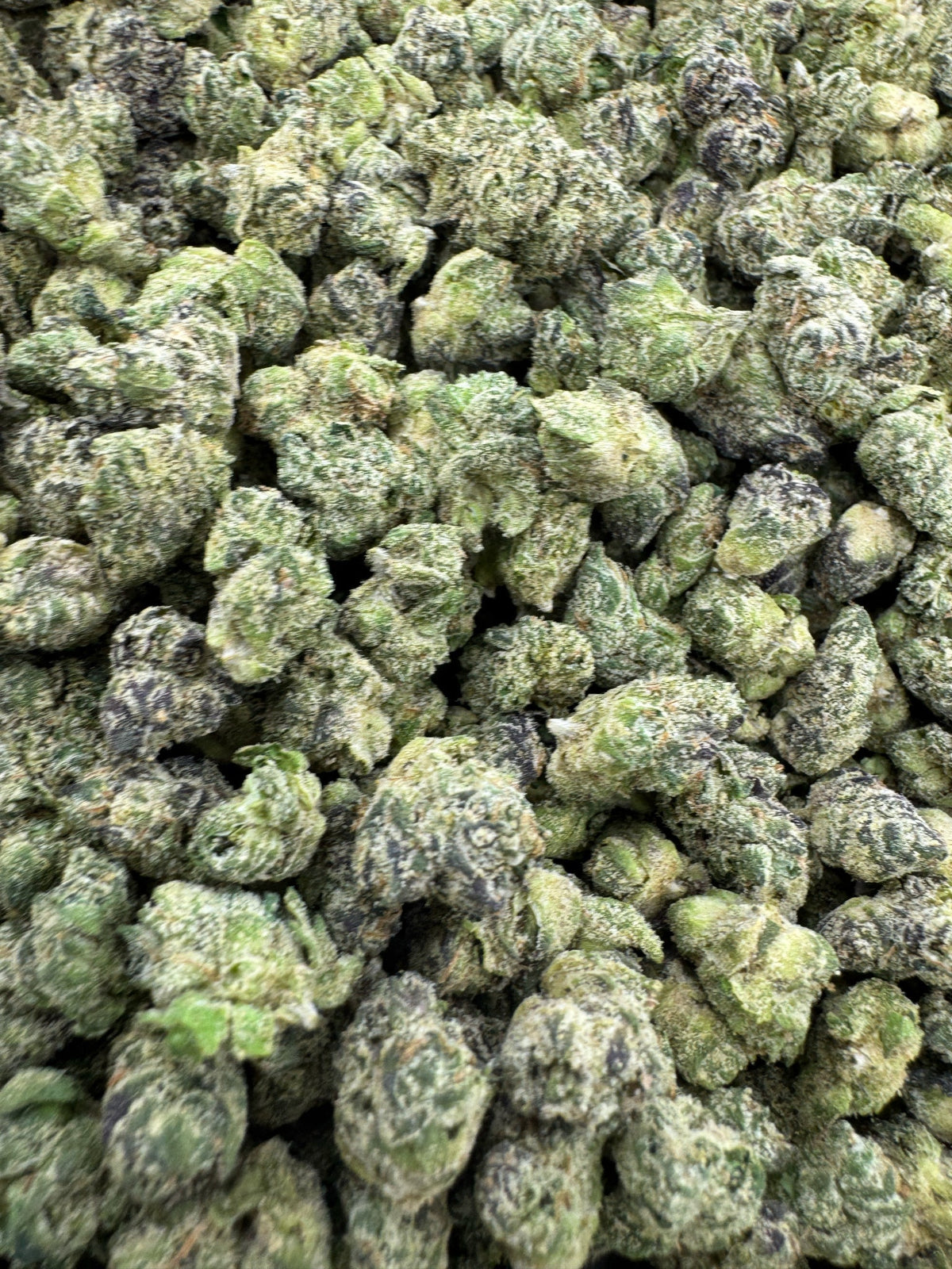 BULK - Purple Punch - SMALLS - Indoor
