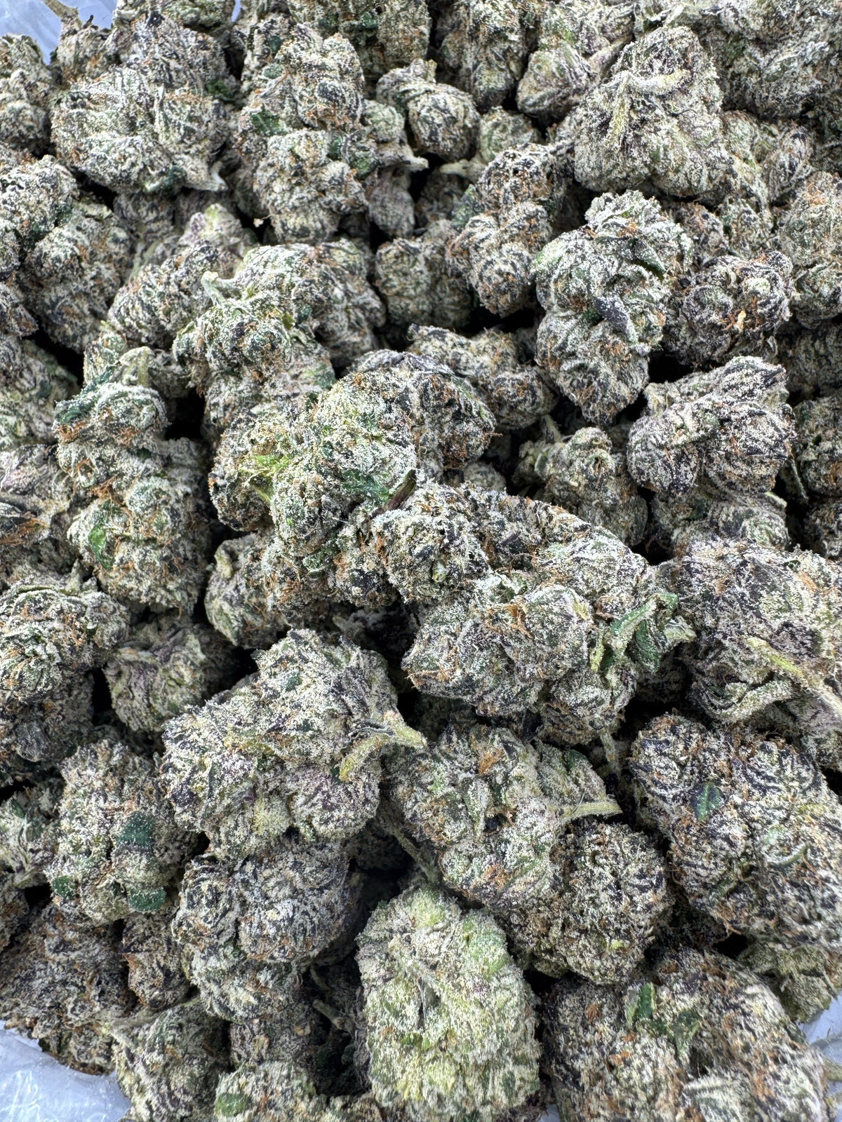 Granddaddy Purple - Indoor