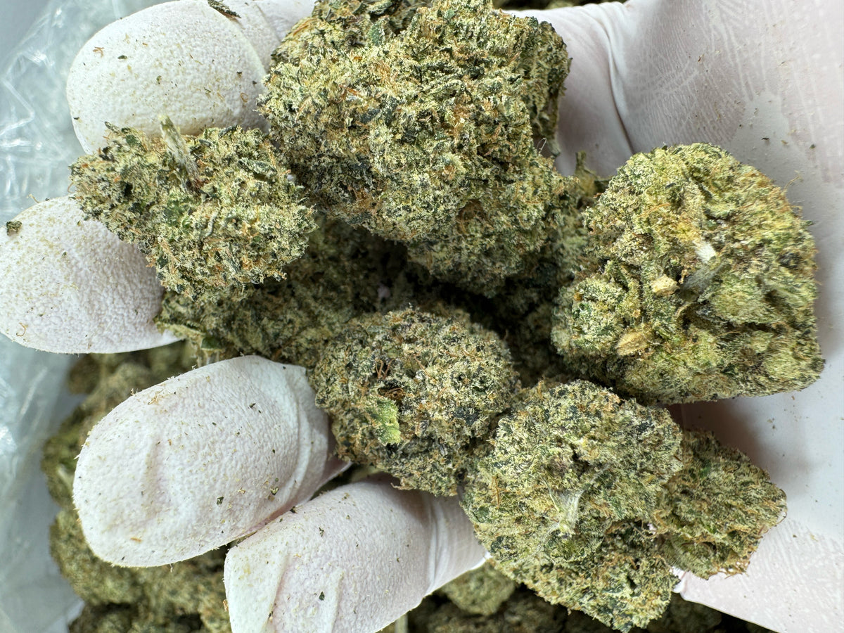 BULK - Green Crack - Indoor