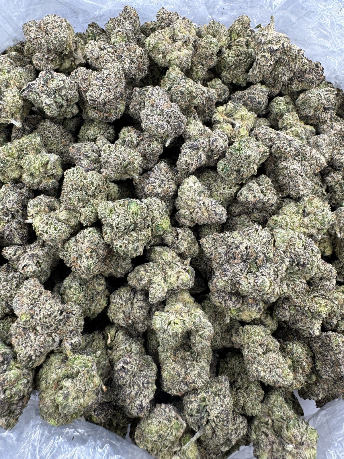 BULK - Ice Cream Cake - Indoor
