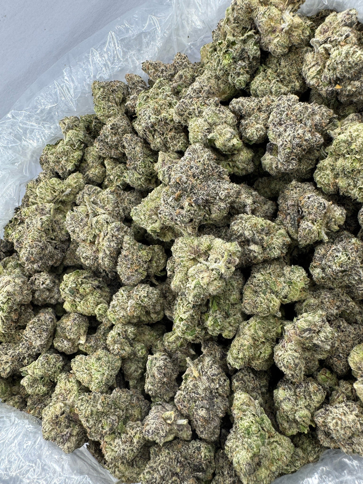 BULK - Grape Noir 8 - Indoor