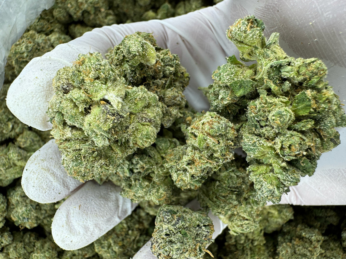 Durban Poison - Indoor