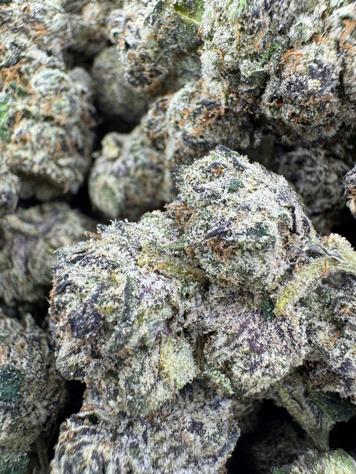 Granddaddy Purple - Indoor